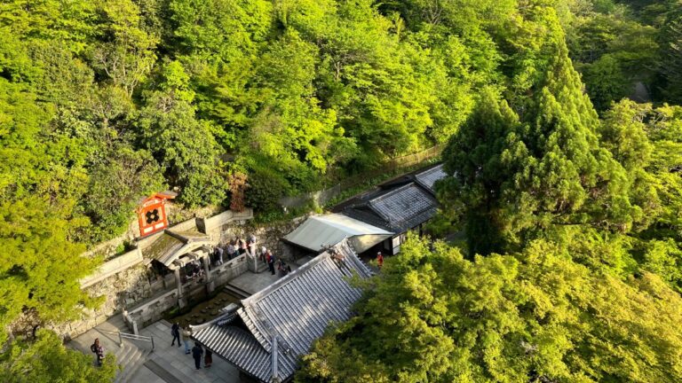 Day Trips to Kyoto from Hirakata: Essential Temple Routes