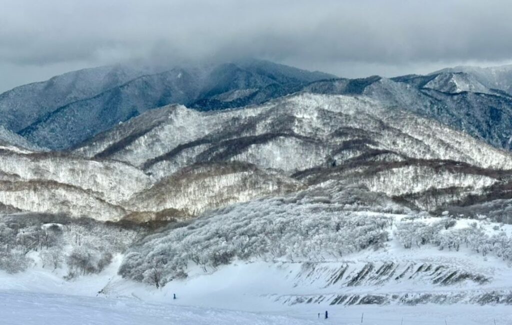 biwako valley winter