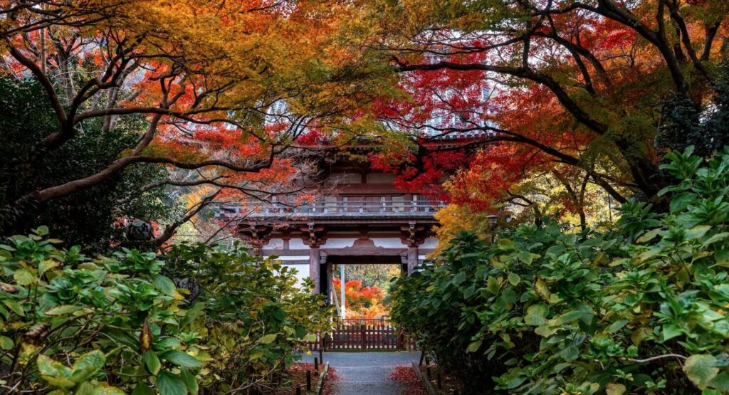 Kyuanji Temple 1