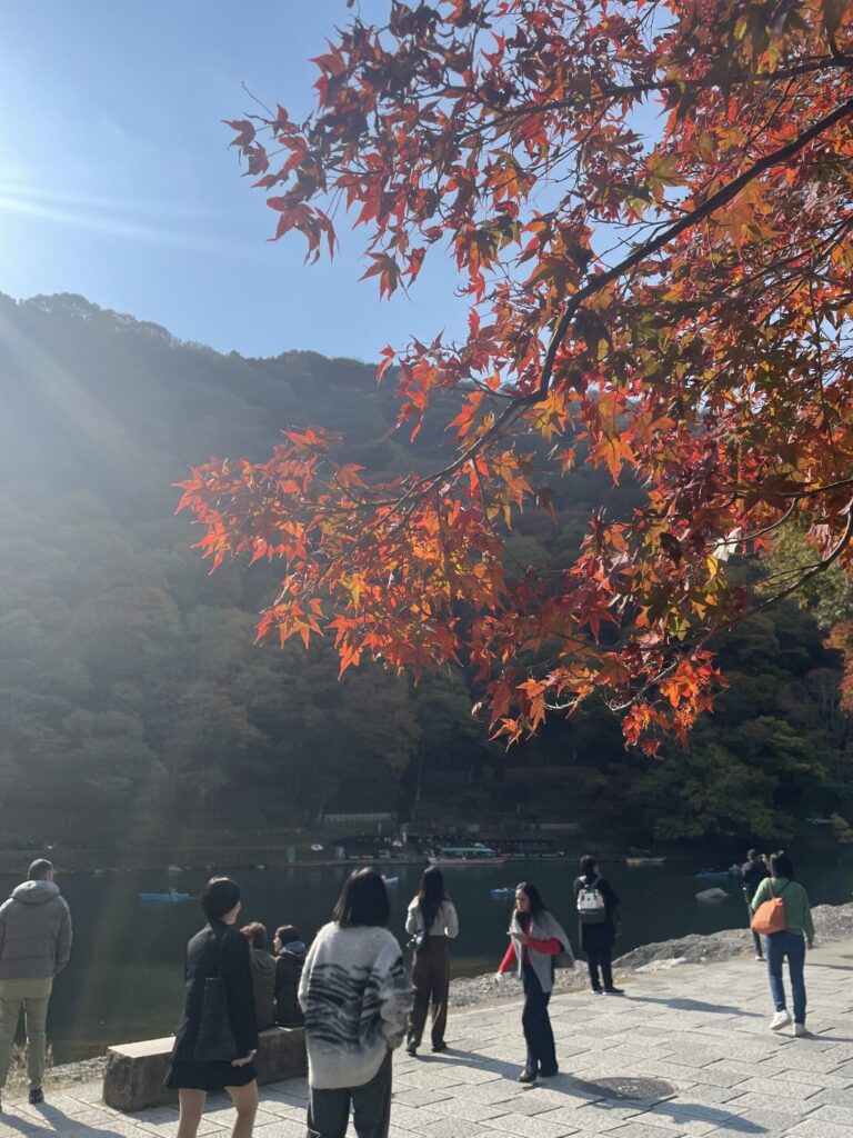 katsura river autumn